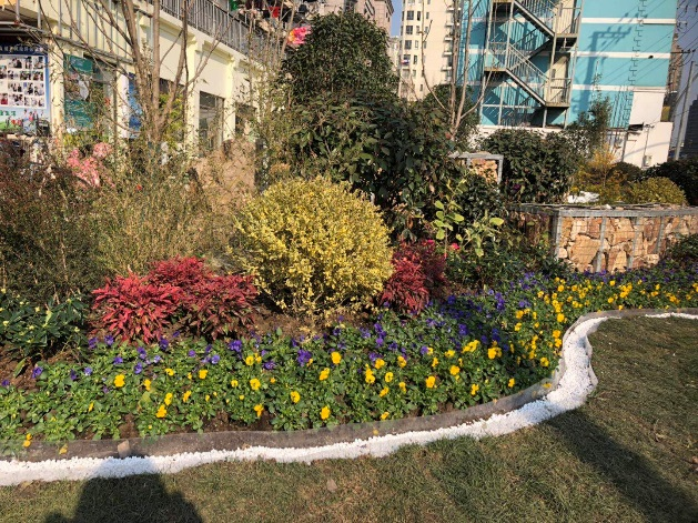 周家嘴路1217号街头绿地改建项目 500㎡
