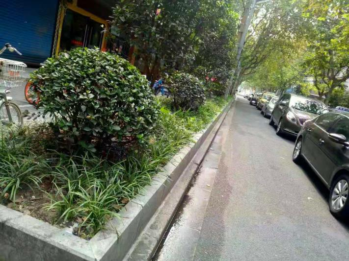 眉州路752-760号新建绿地、惠民路齐齐哈尔路西北角新建绿地、吉浦路政立路东南角及东北角新建绿地、靖宇南路靖宇中路转角新建改建绿地项目 200㎡