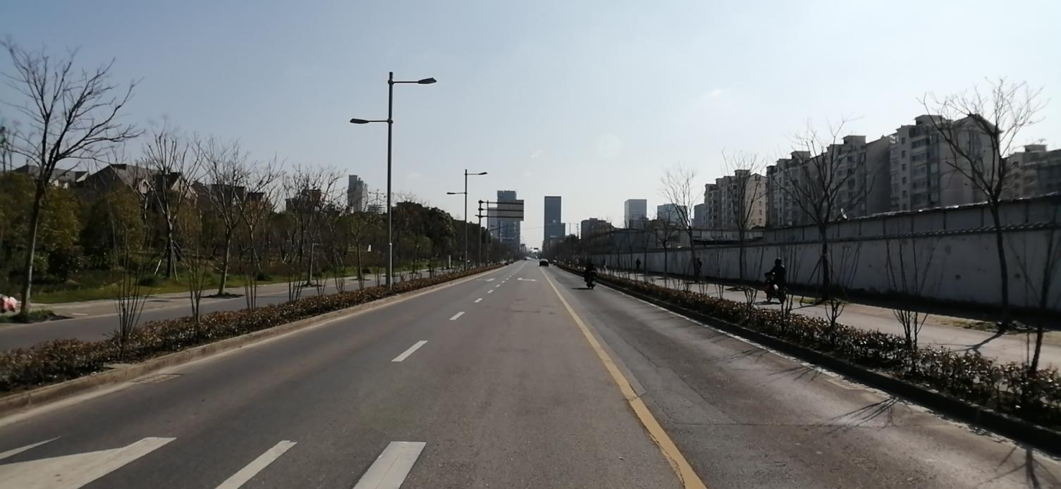 新江湾城12条道路绿化改造项目