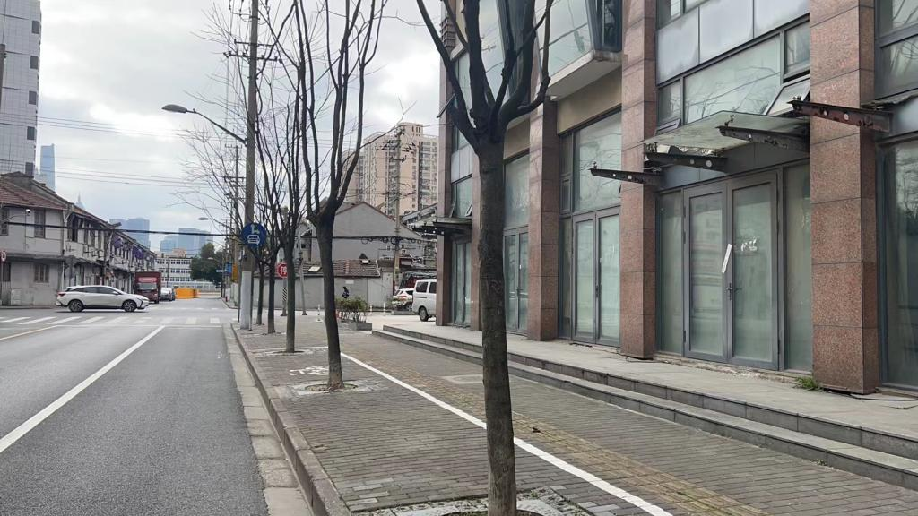昆明路、齐齐哈尔路、丹阳路、通北路行道树新种补种项目