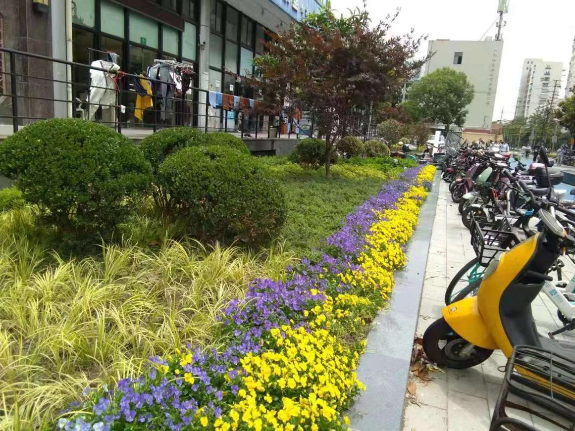 松花江路（沧州路-军工路）市容环境整治工程（“美丽街区“建设） 9000㎡