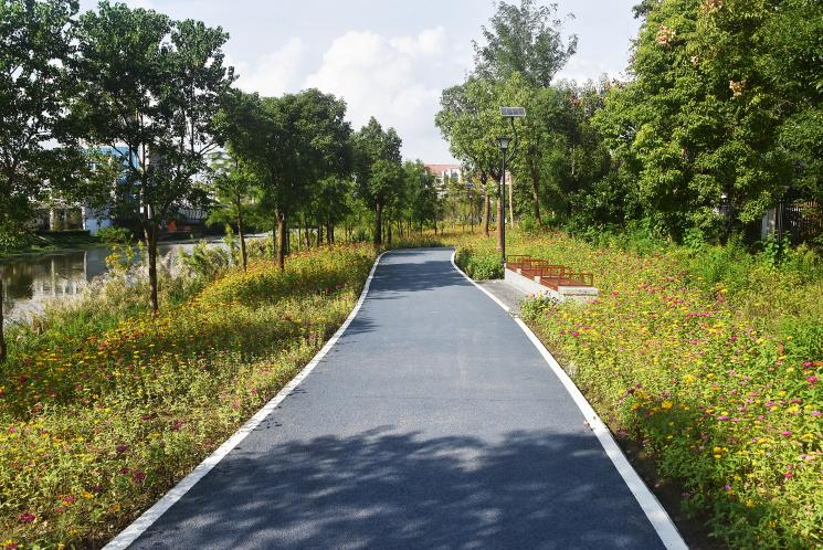 政青路绿道建设项目 12000㎡