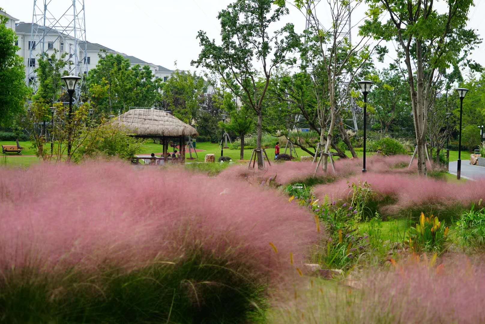 东茭泾公园