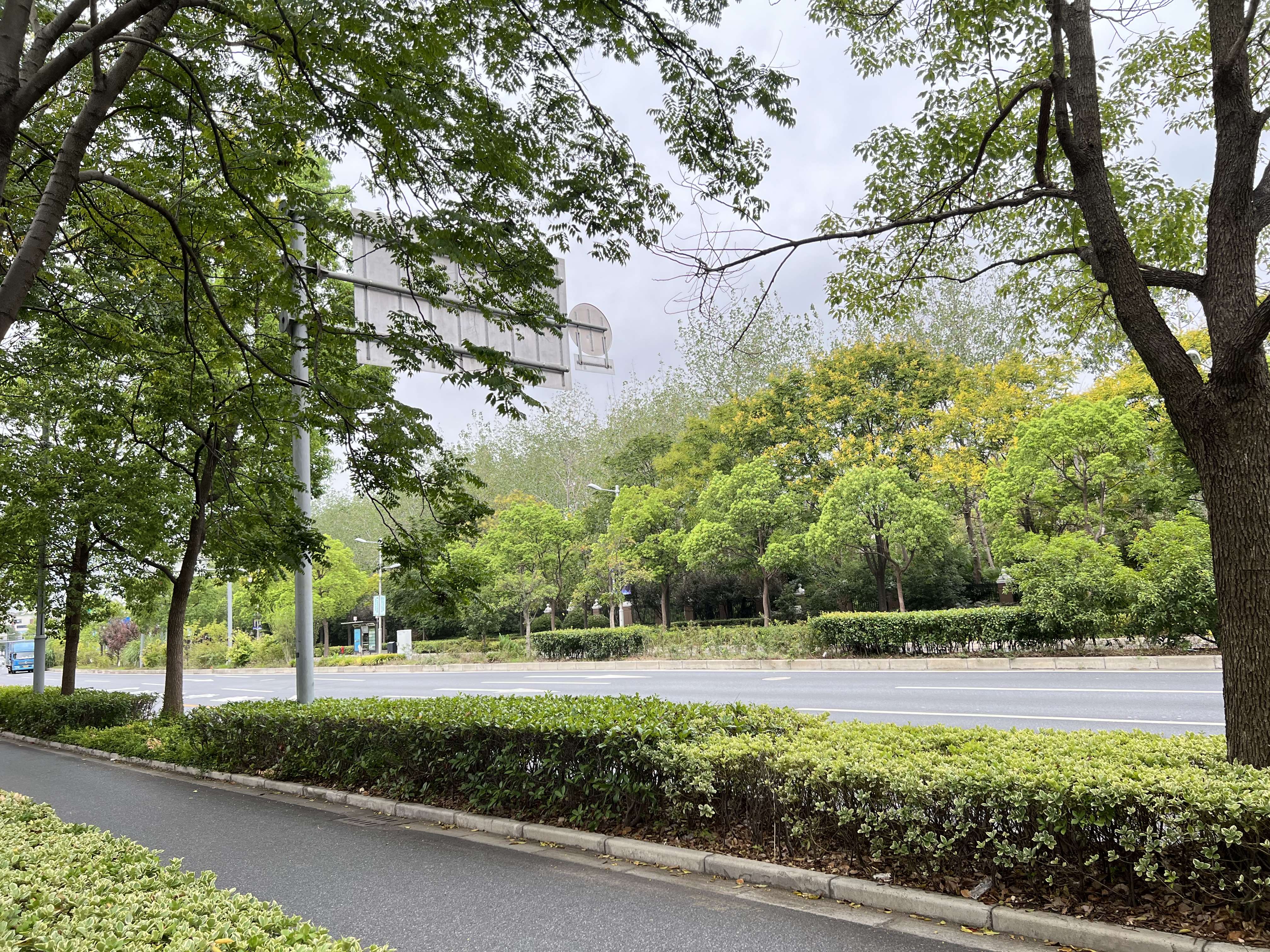 2022年闸殷路(国伟路-般行路)绿地改建项目 1600㎡