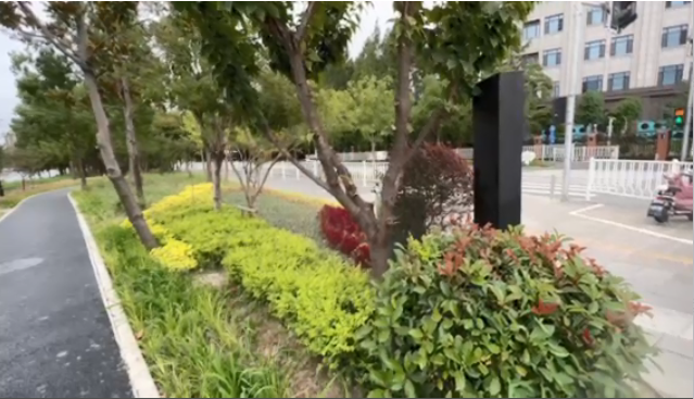 纬六河(恒耀路—新江湾城路段)两侧绿品质化提升项目 23000㎡