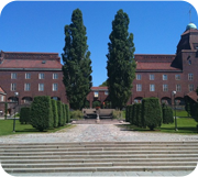 学校绿化养护措施方案模板