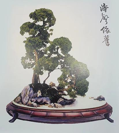 涛声依旧