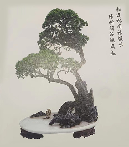 幽人林下共倾谈