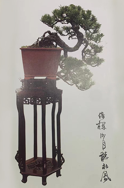 临崖云起