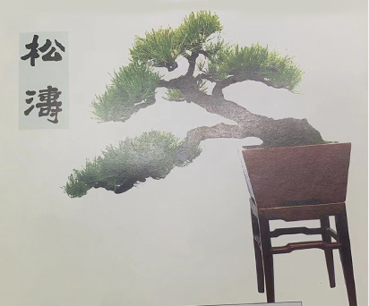 松涛