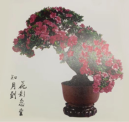 翠影红霞